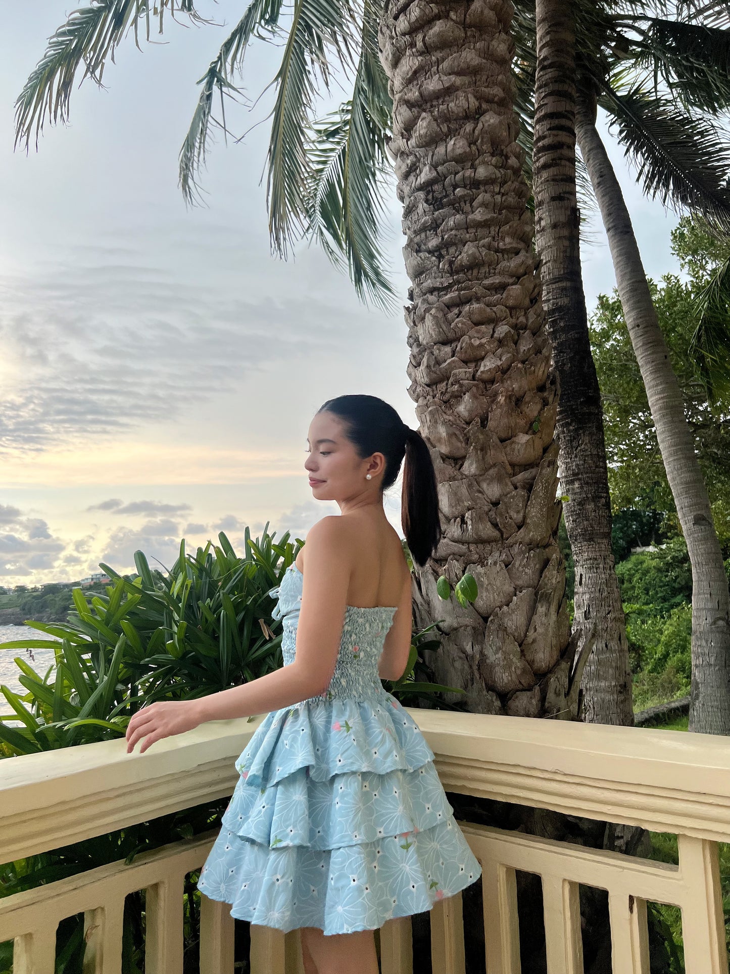 Micah Sundress in Anita